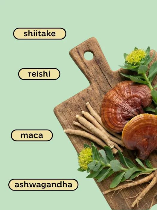 Biohacking i Adaptogeni (Pečurke, Biljke) SUPLEMENTI SRBIJA