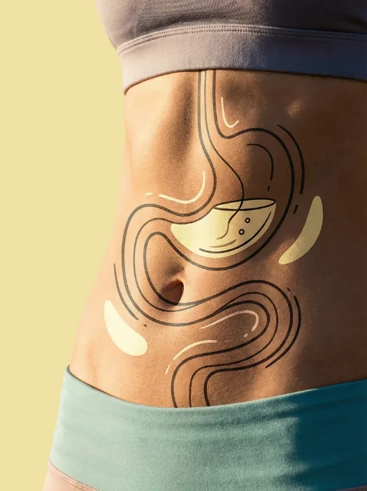 digestivni trakt probava varenje zdravlje creva SUPLEMENTI SRBIJA