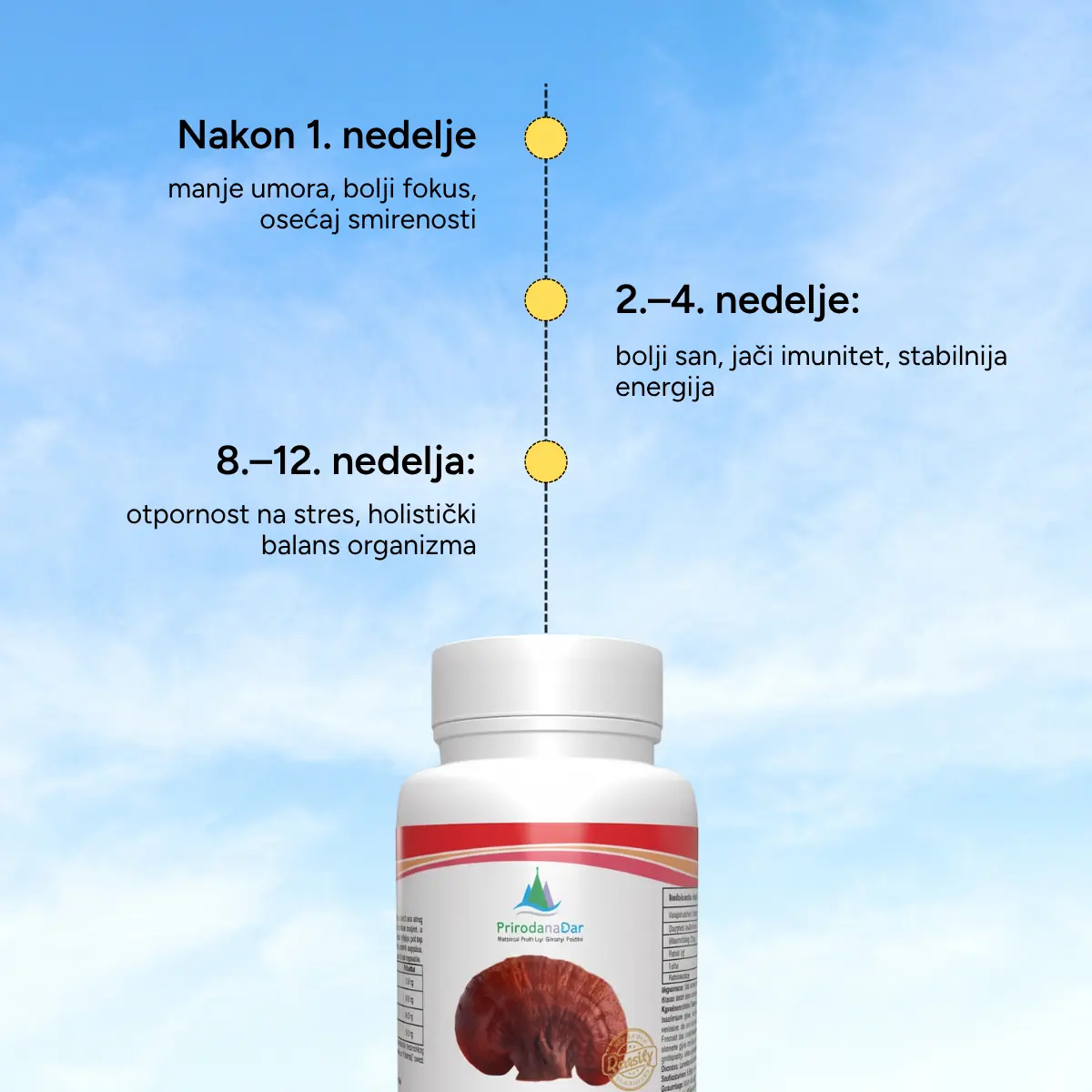 Reiši Gljiva Kapsule (Ganoderma Lucidum) 500mg Reishi - Slika 2