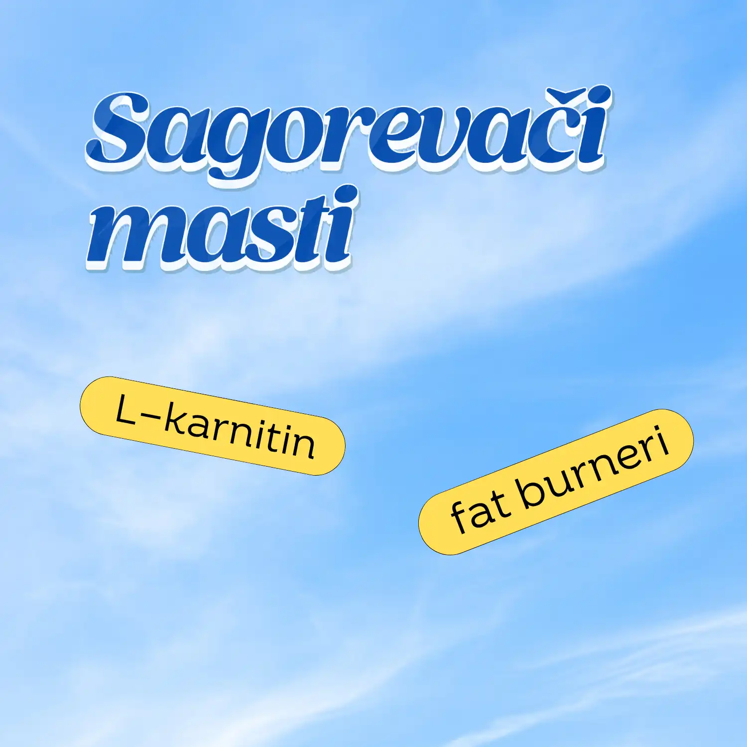Sagorevači masti prodaja online