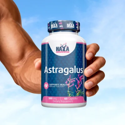 Astragalus 500 mg - 60 kapsula internet prodaja suplemenata
